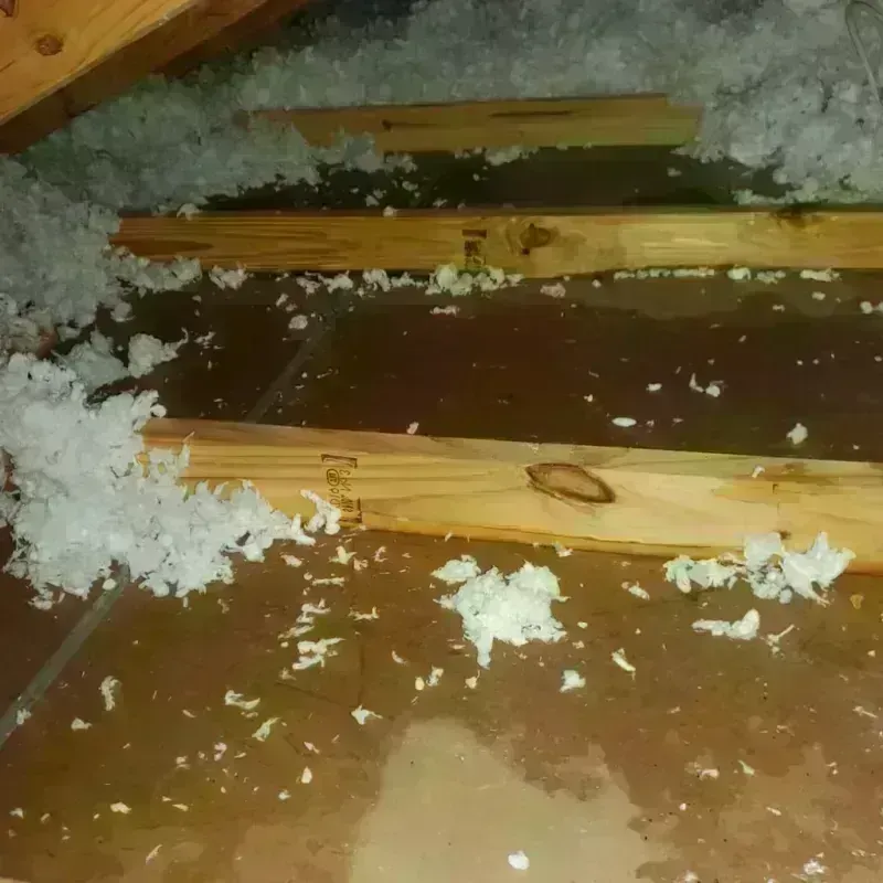 Attic Water Damage in Agoura Hills, CA